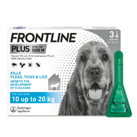 Dog flea and shop tick treatment uk